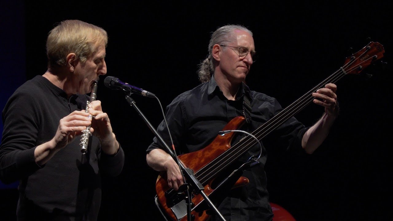 Bourée (Jethro Tull, J.S. Bach) performed by Michael Manring and Larry Kassin