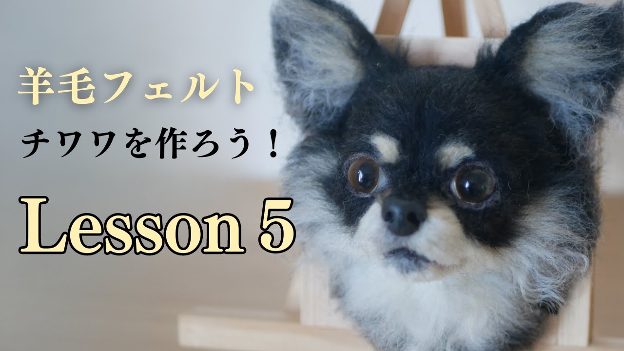 ⑤【羊毛フェルトレッスン】　#羊毛フェルト　＃羊毛フェルト猫　＃羊毛フェルト犬　#羊毛フェルト講座　＃羊毛フェルト作り方　#リアル羊毛フェルト