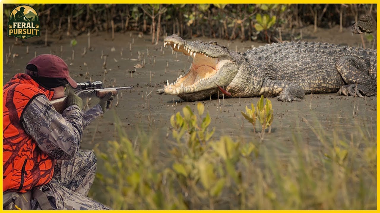 Rifle vs. Bow &ndash; The Ultimate Crocodile Hunting Challenge in the Bangweulu Marshes | Invasive Species