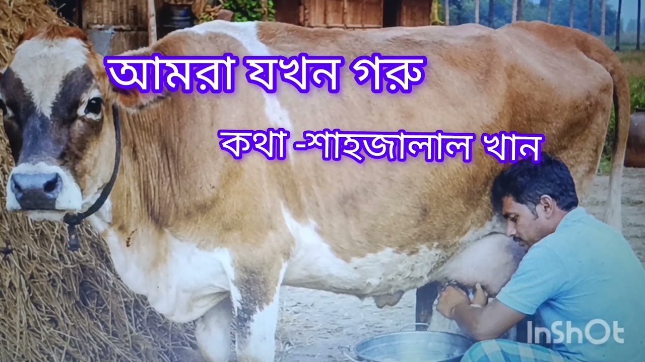 হালুয়ারে হালুয়া আমার, শাহজালাল খান 