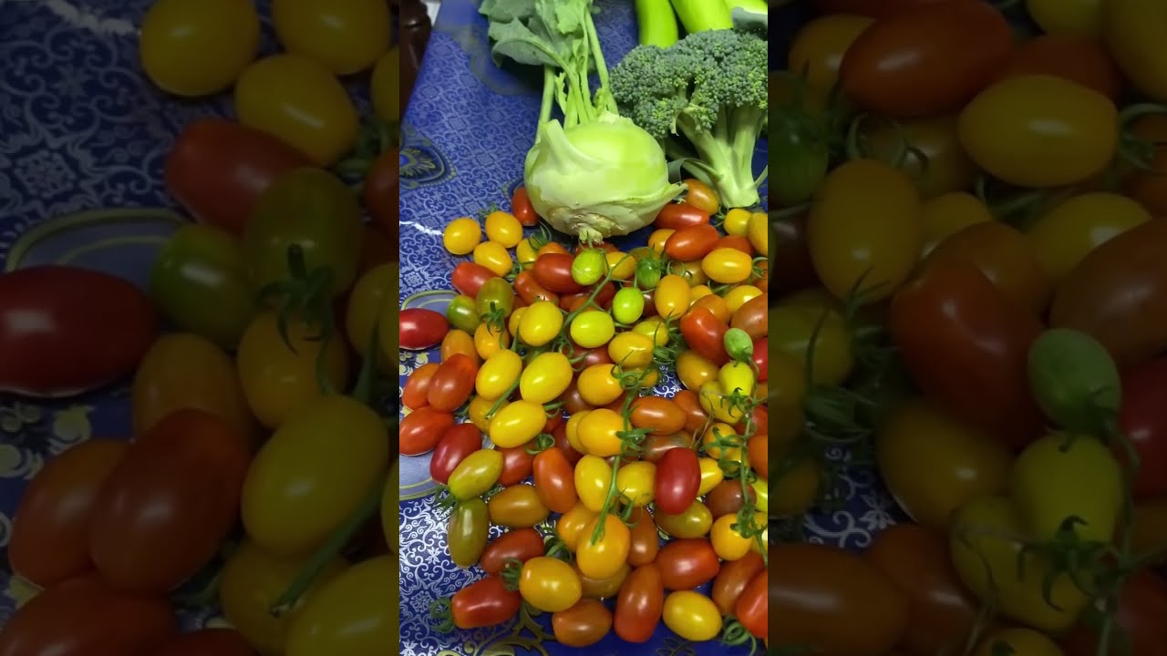 Organic garden update