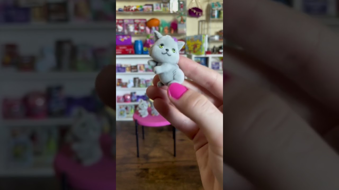 Kitty In My Pocket Doooooooop 