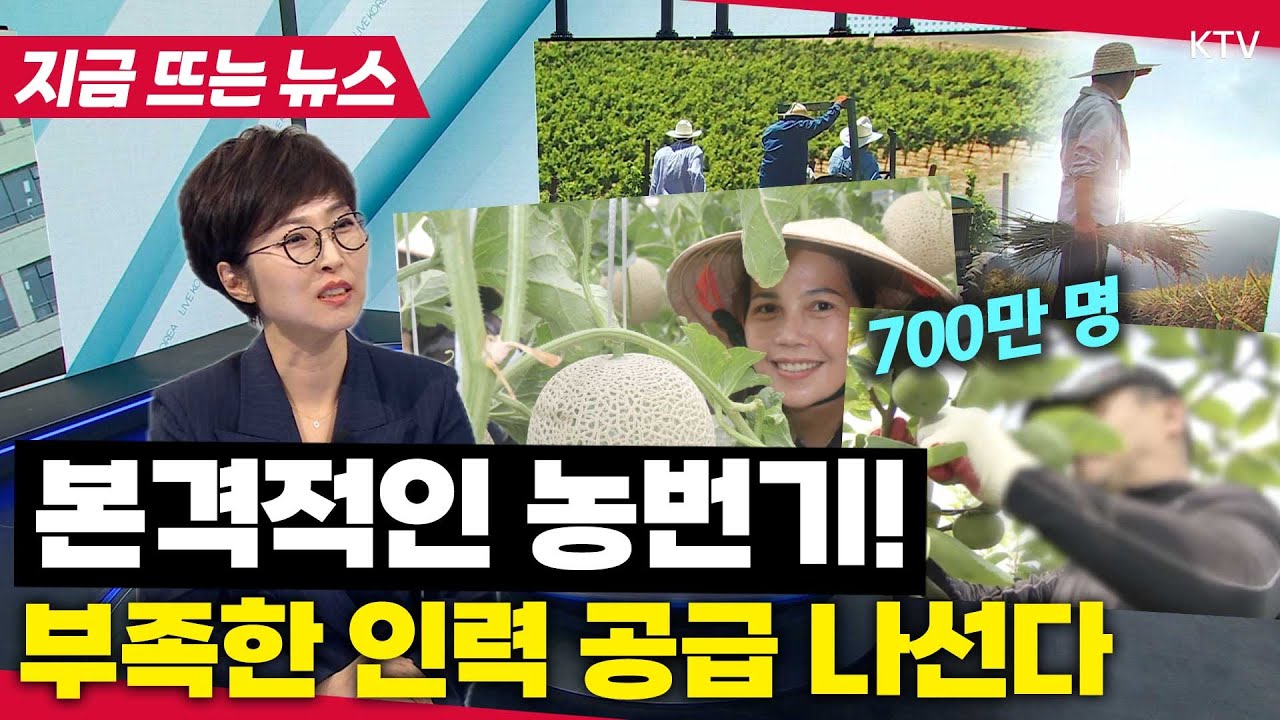 대규모 농촌 인력 지원 나선다!...2025 농번기 인력 지원대책은?