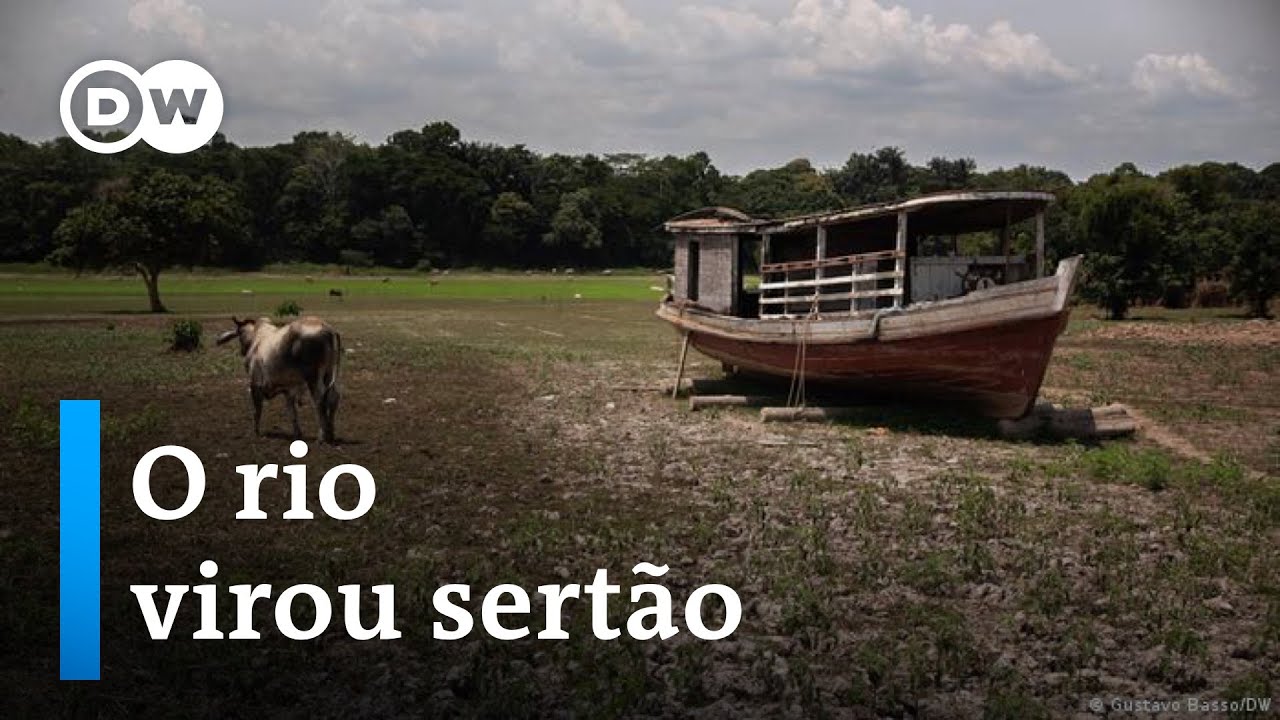 A devastadora seca na Amaz&ocirc;nia
