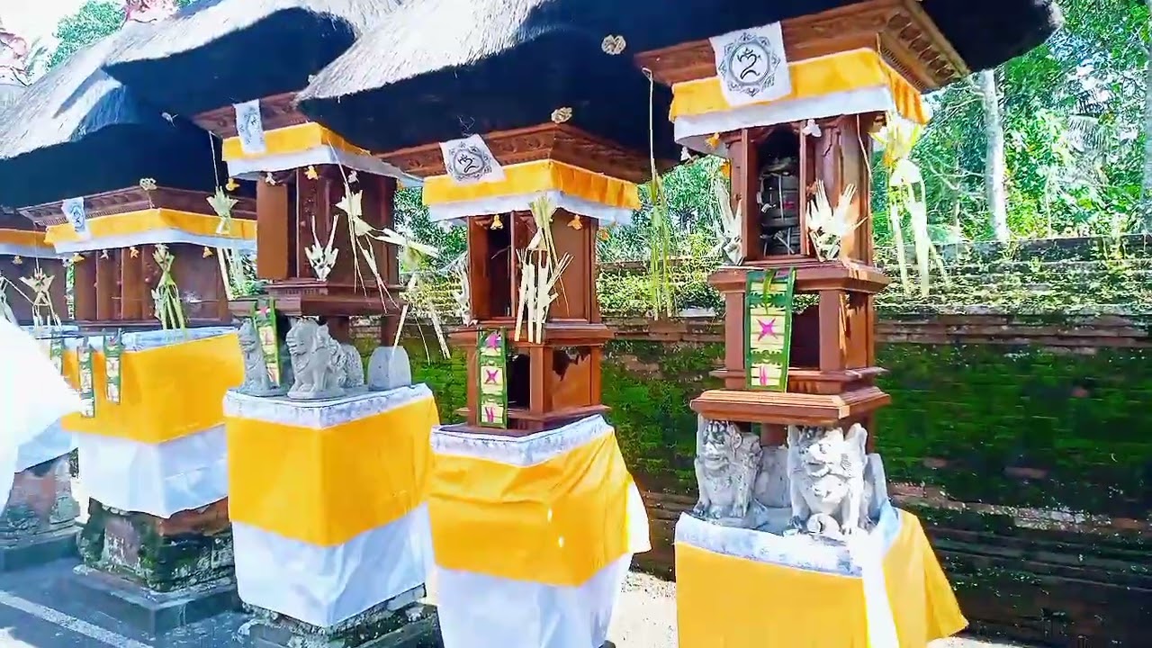 (PART.1)UPACARA MELASPAS PELINGGIH MERAJAN AGUNG PRETISENTANA MANGGIS KUNING,@budayabalichennal