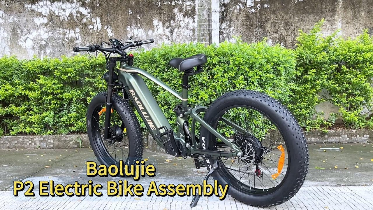 P2 Dual Motor Electric Bicycle Assembly | VoltVibe & Baolujie E-Bike Setup