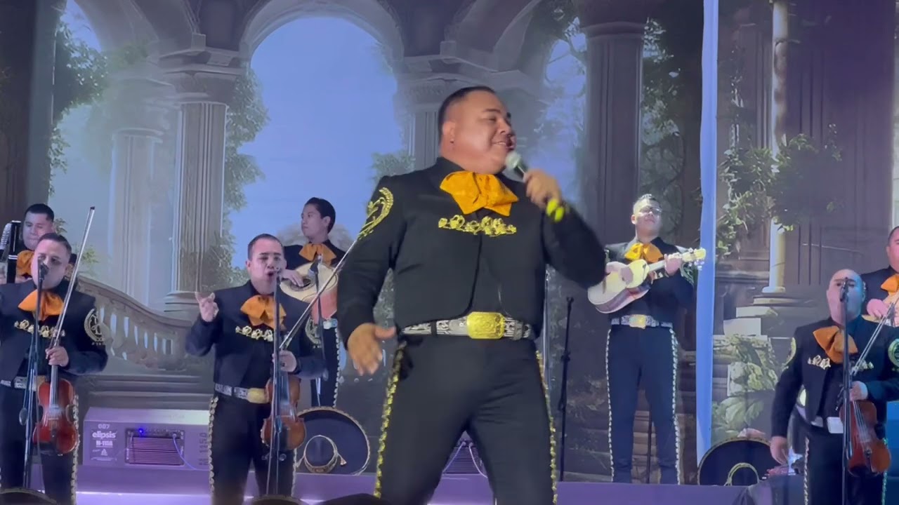 Mariachi Estrella de Mexico, —Pop Homenaje Pepe Martinez