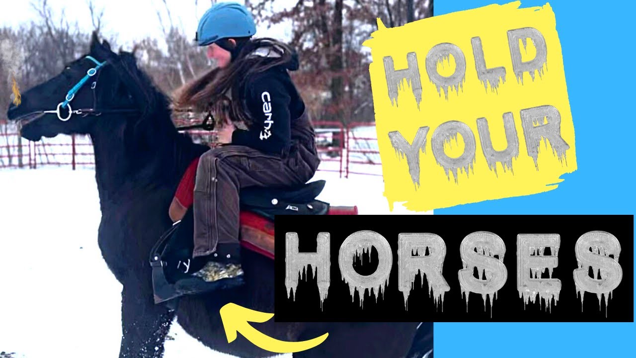 Horse Rescue Tales from the Tundra - S1 - E2