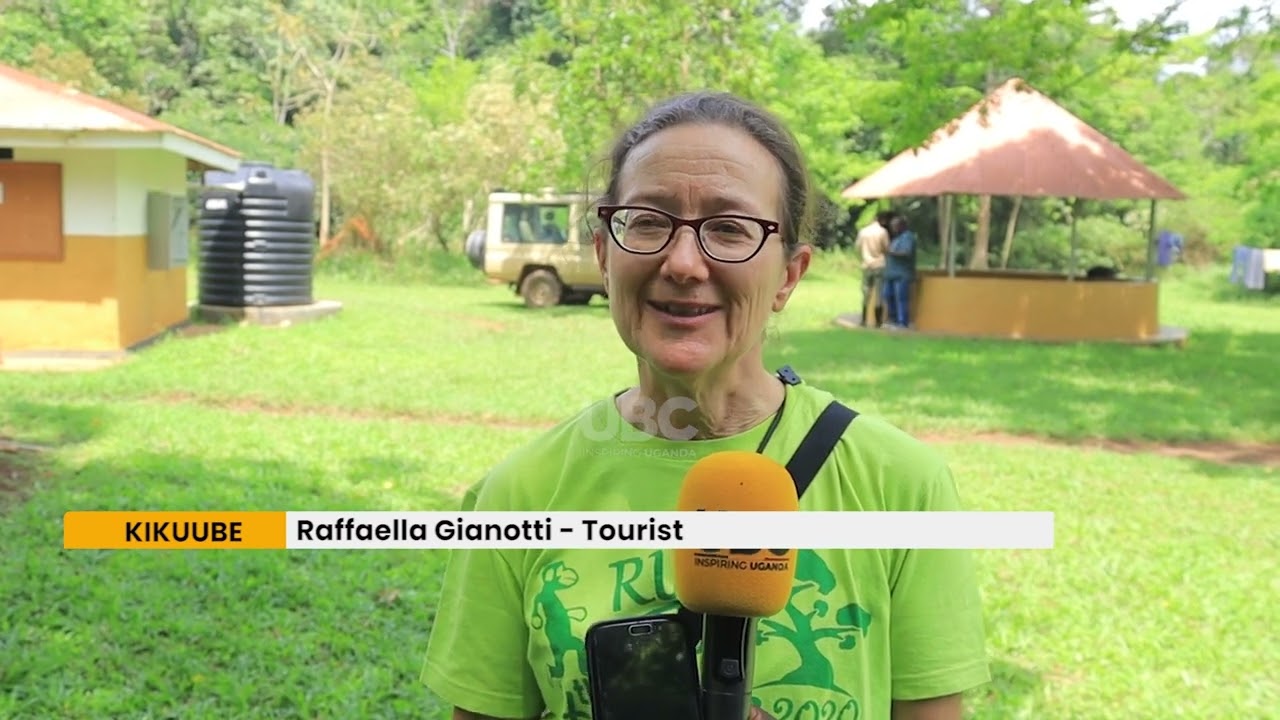 Conservationists Raise Alarm Over Encroachment in Bugoma Forest Reserve