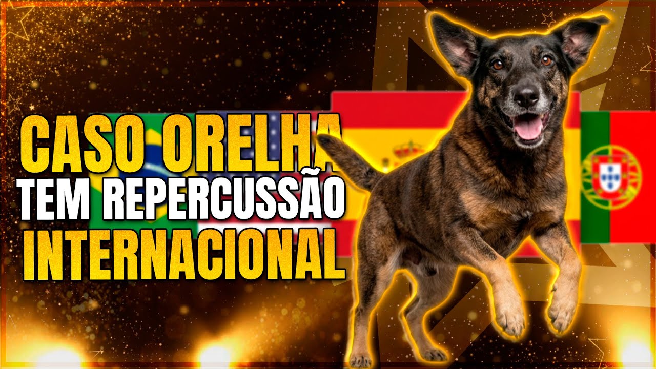 🟣AMERICANOS PEDEM VOLTA DE ADOLECENTES; CAROLL LEKKER NO FOFOCALIZANDO | LINK PODCAST
