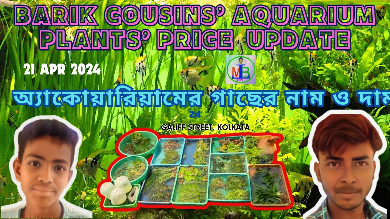 RECENT WEEK AQUARIUM PLANTS' PRICE UPDATE | NAME & PRICE | অ্যাকোয়ারিয়ামের গাছের নাম ও দাম | 21APR24