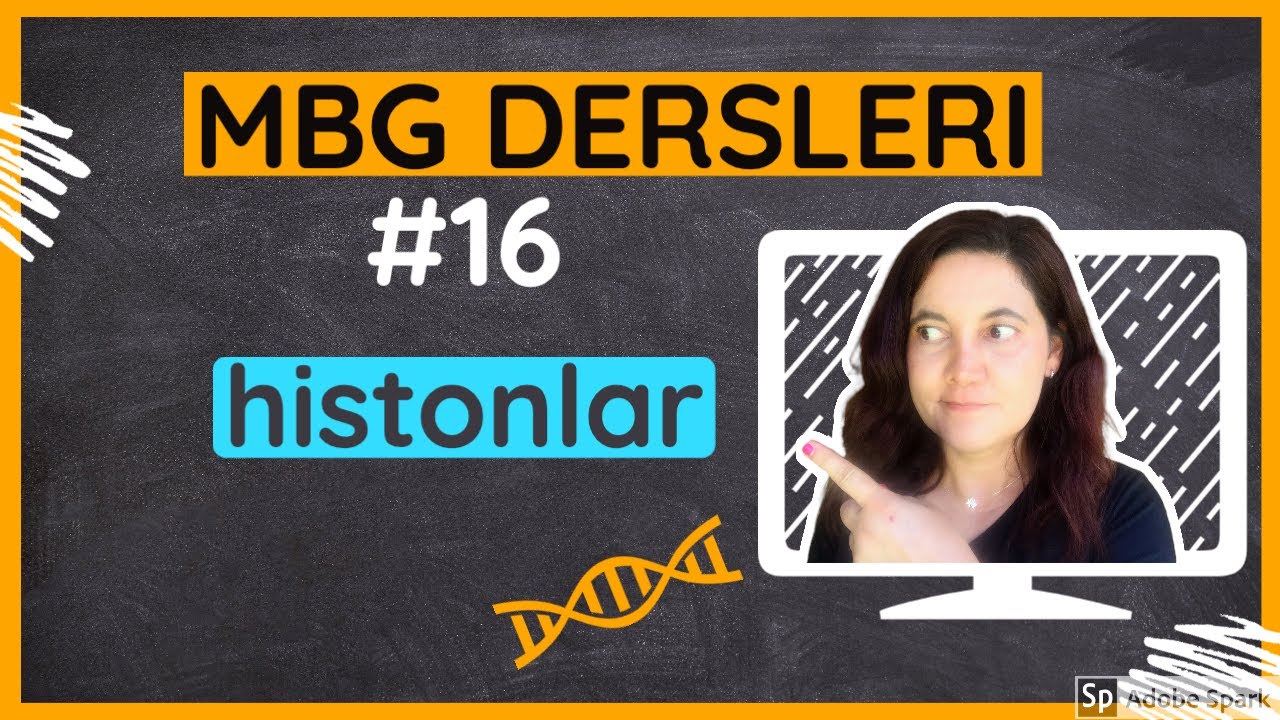 Moleküler Biyoloji ve Genetik Dersleri #16: Histonlar