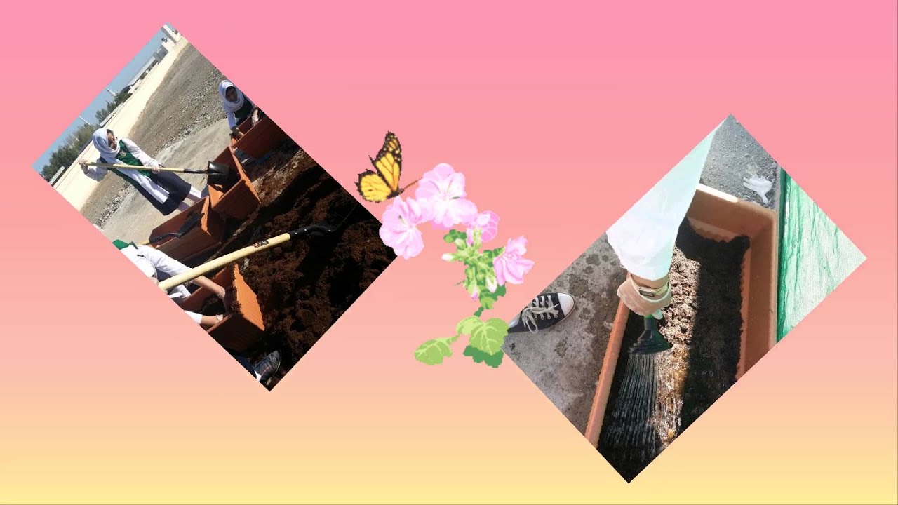 الحديقة العلمية في أصيلة بنت قيس