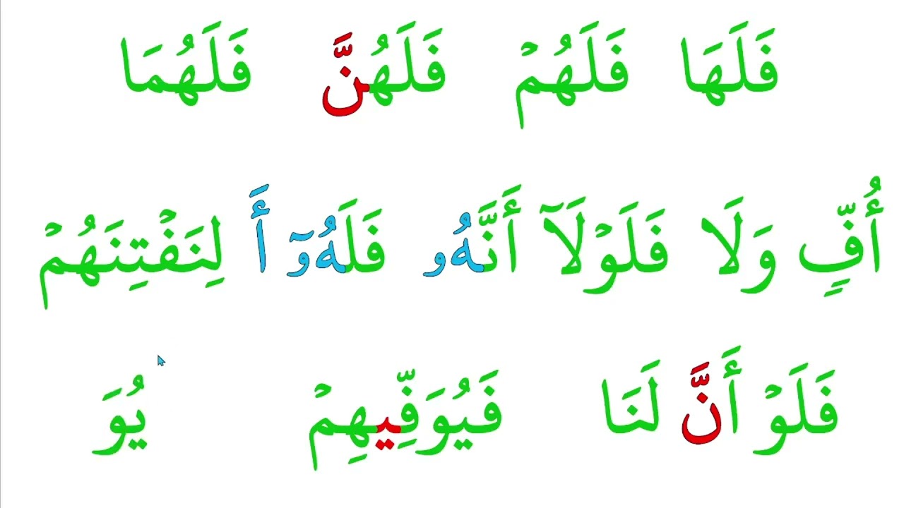 اختصار للقراءة و التجويد الدرس 5 حروف ف ل ه الهمزة  ن ب ث ي
