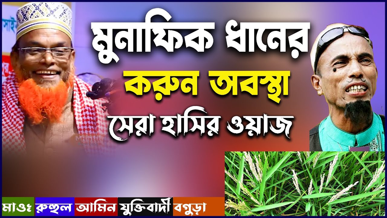 মুনাফিক ধানের করুন অবস্থা।মাওঃ রুহুল আমিন ‍যুক্তিবাদী।bangla waz ruhul amin juktibadi bogra