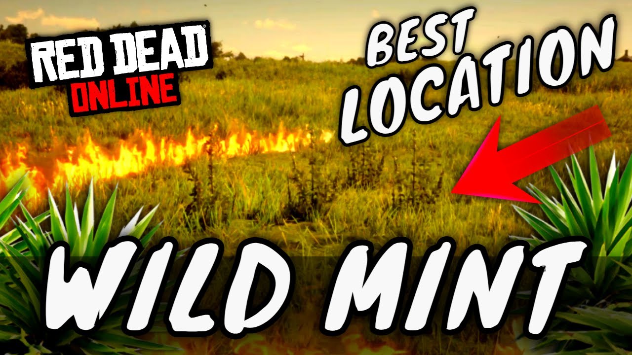 Best Wild Mint Location in RDR2 - Red Dead Online - RDO Wild Mint locations