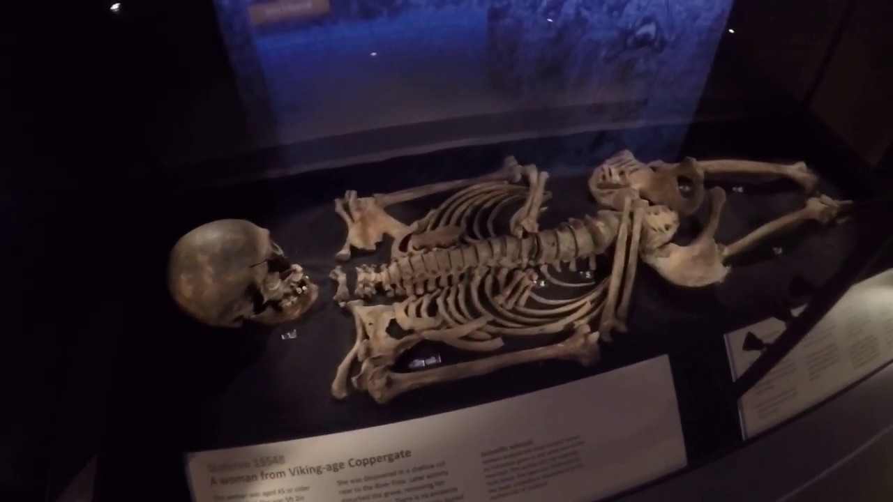 Как жили викинги в Англии Jorvik Viking Centre