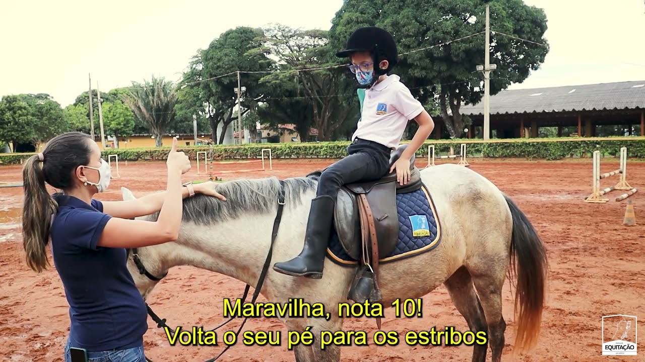 Interação com o cavalo