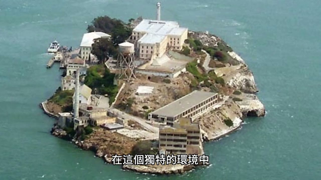 墨西哥神秘之旅：娃娃之島，最令人毛骨悚然的冒險
