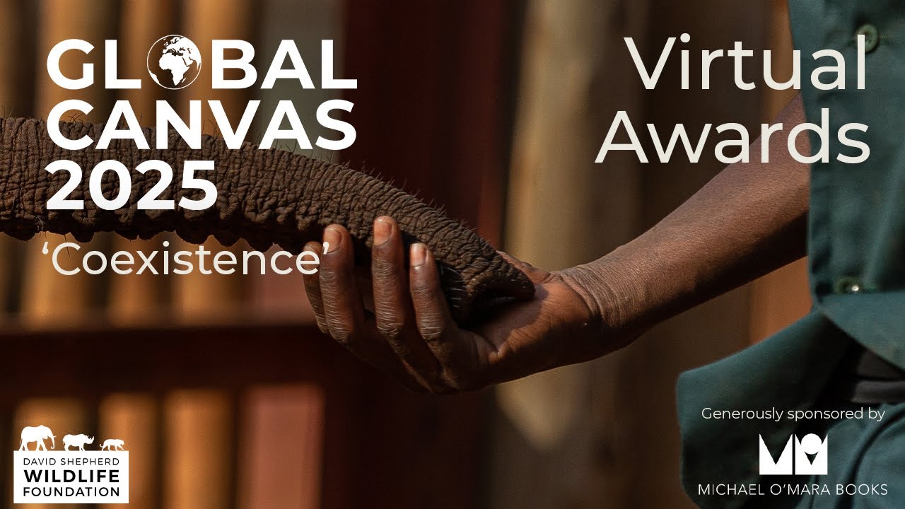 Global Canvas 2025 Awards Ceremony