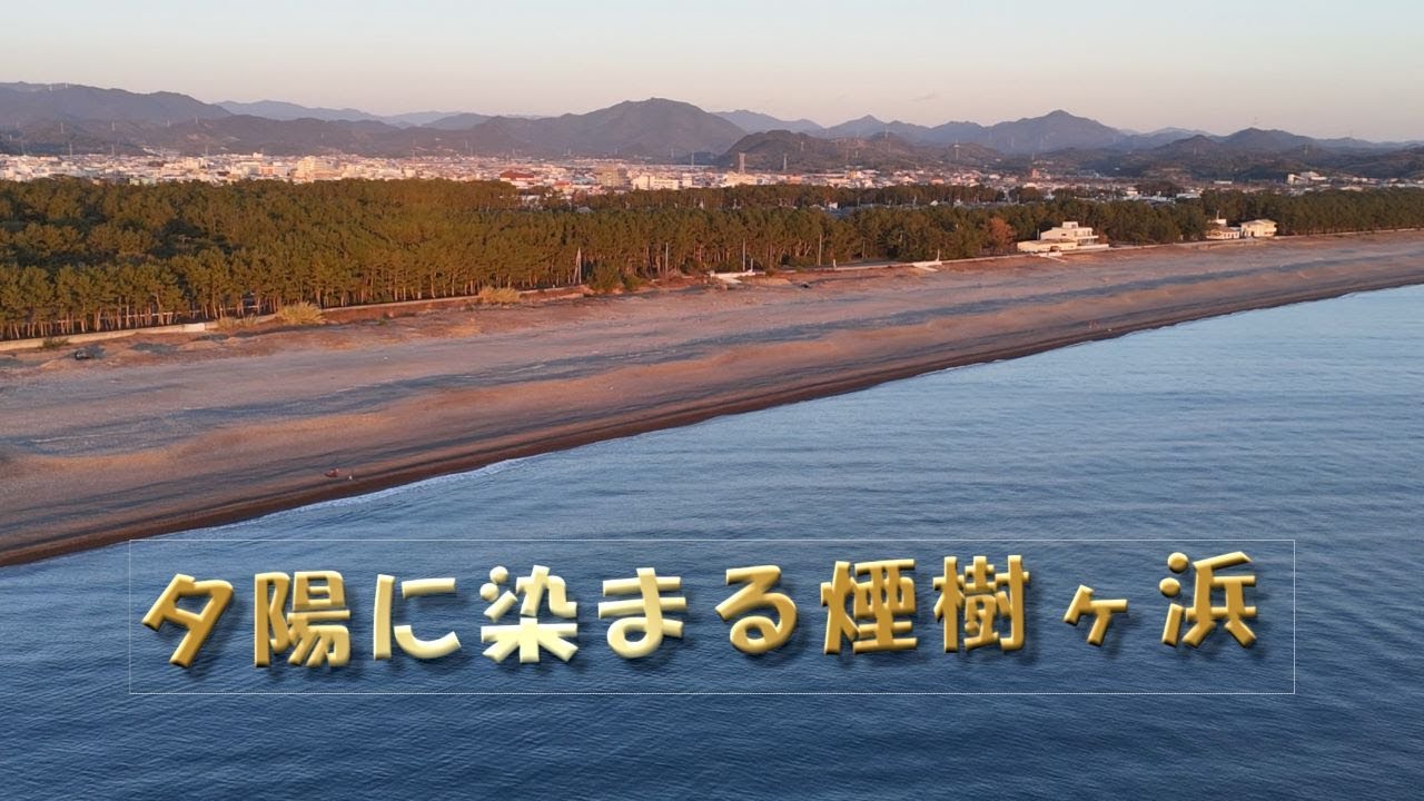 夕陽に染まる松林
