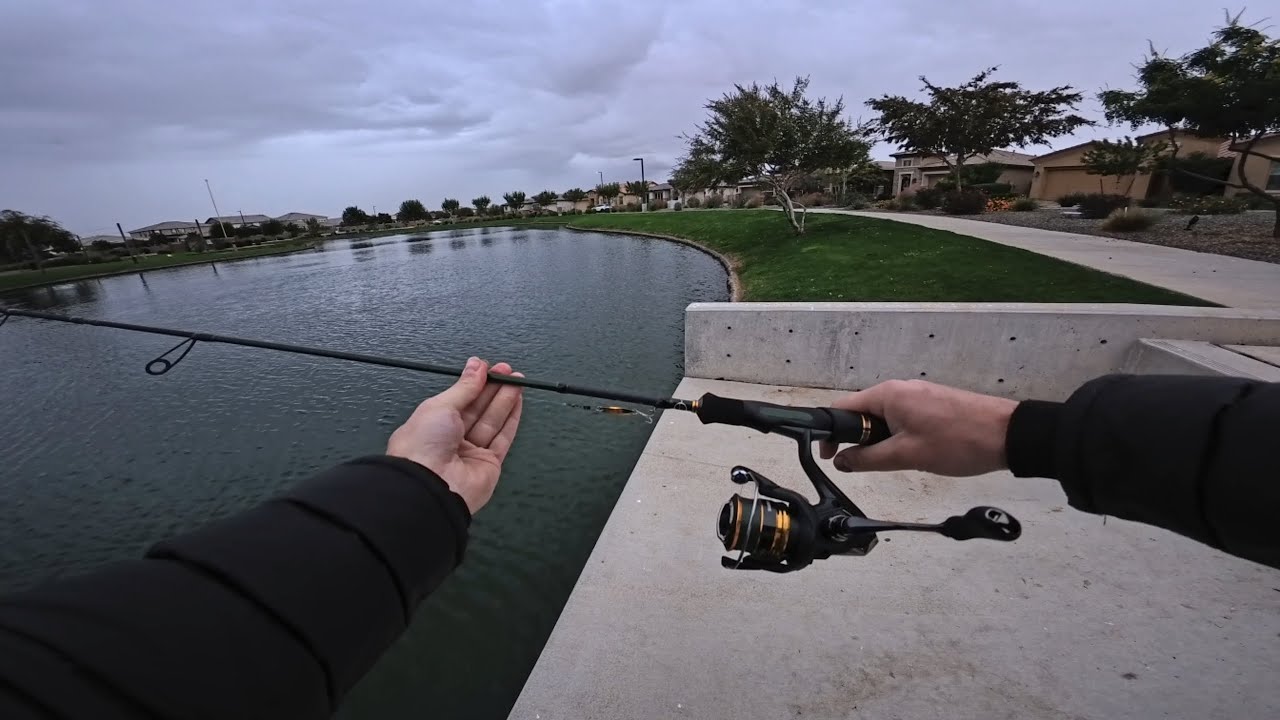 Shimano Sahara Review!