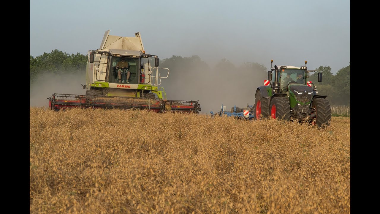 Moisson du pois Chiche - Lexion 570 et 440 - Fendt 1050 + Karat 9