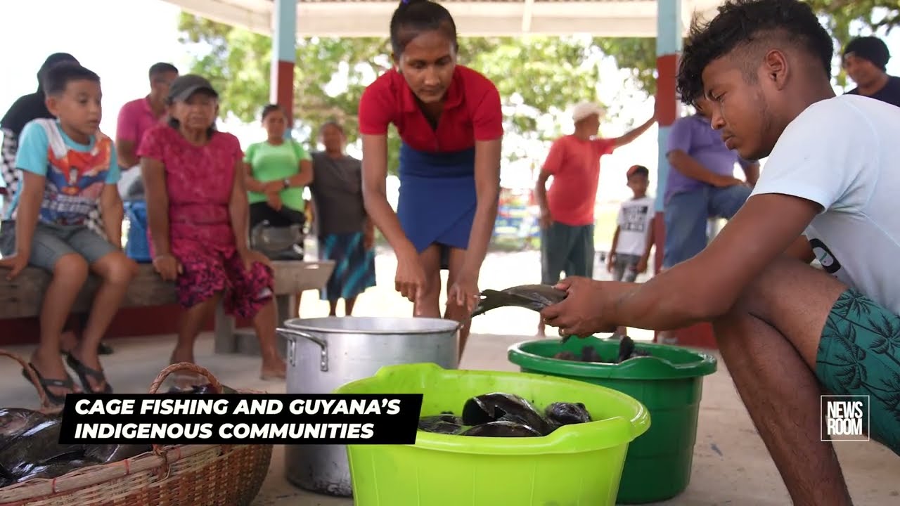 CAGE FISHING AND GUYANA'S INDIGENOUS COMMUNITIES