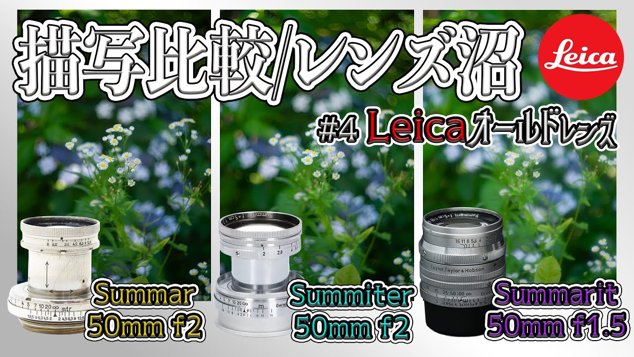 #4 Leicaレンズ Summar/Summiter/Summarit 50mm【Leicaオールドレンズ比較/レンズ沼の真相】