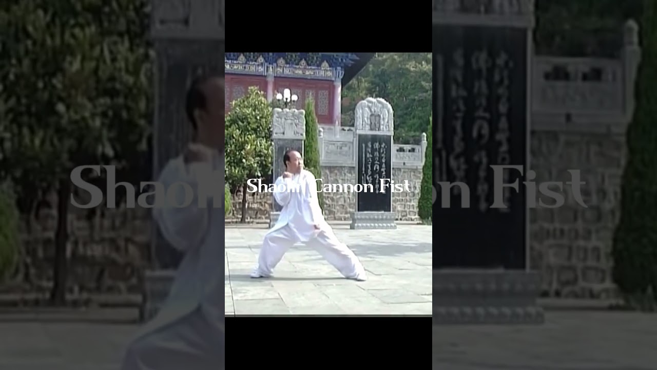 Shaolin Cannon Fist