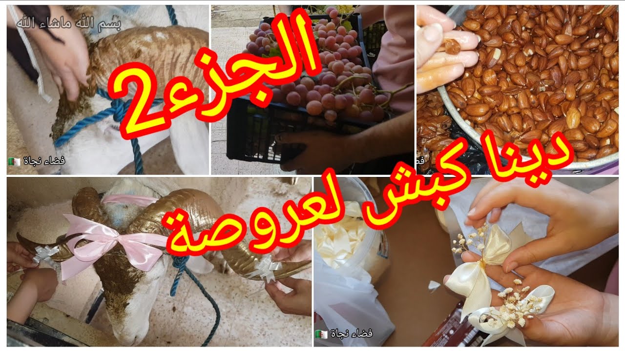 كبش لعروصة #عادات_تقليد #عرس جزائري 🇩🇿