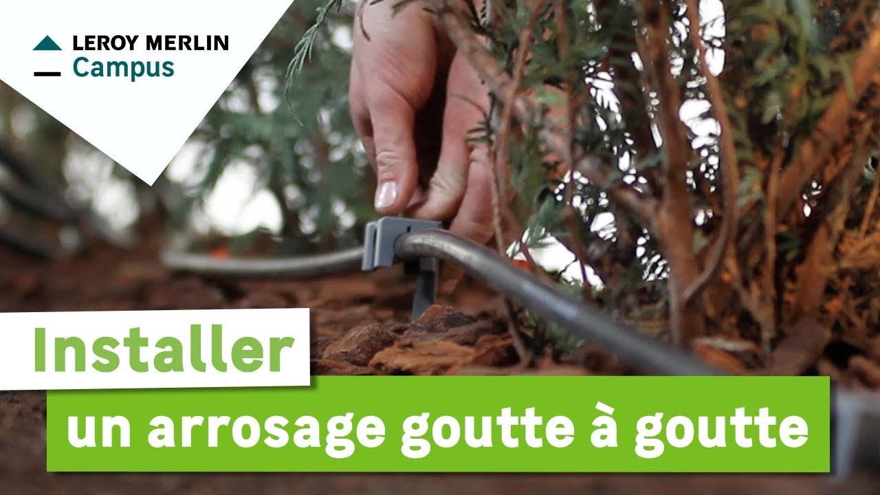 Comment installer un arrosage goutte à goutte ? Leroy Merlin