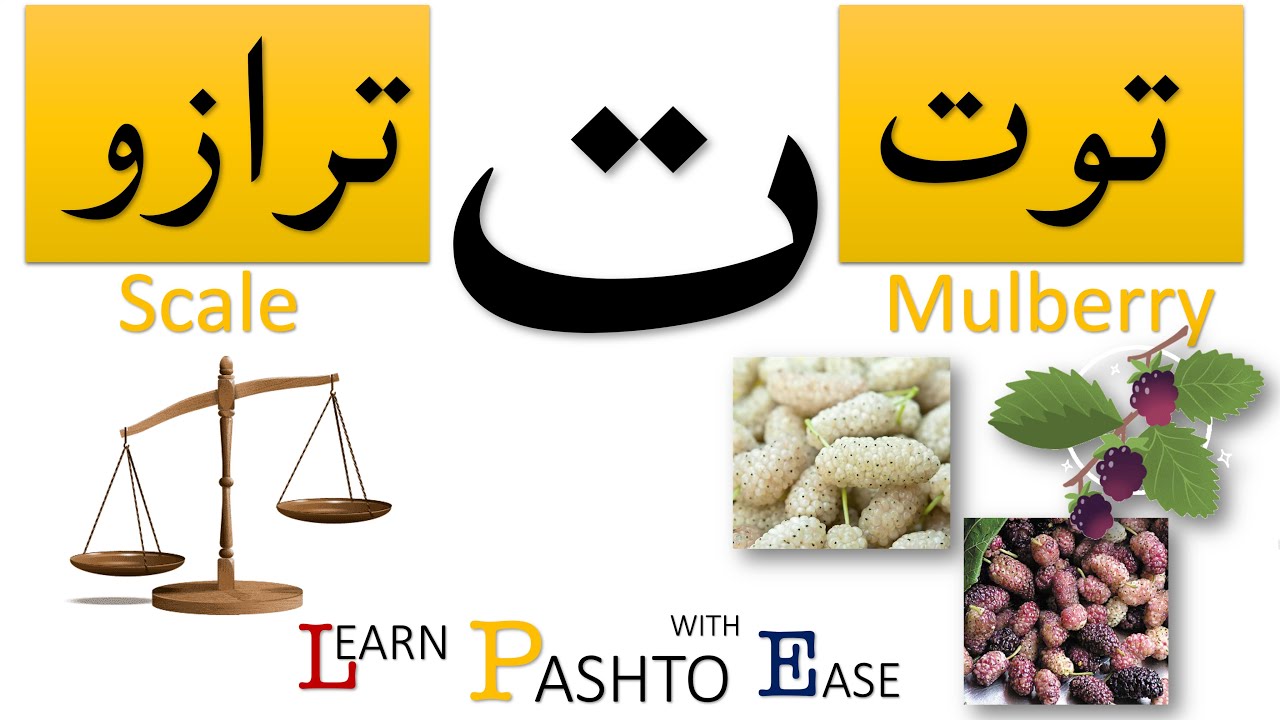 Lesson 8 | Learn PASHTO With EASE | Learning THAY - Pashto alphabet | ALLAMAL QURAN
