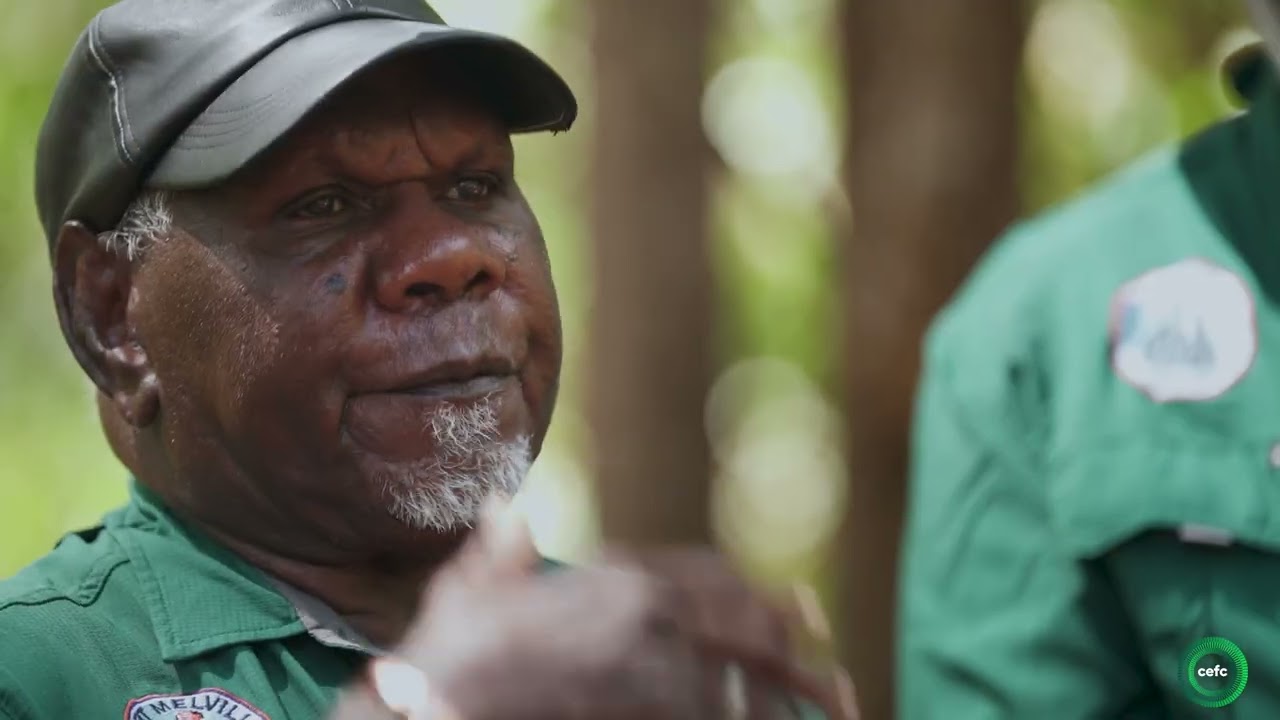 The Tiwi Islands plantations project – Australia’s largest First Nations-led carbon initiative