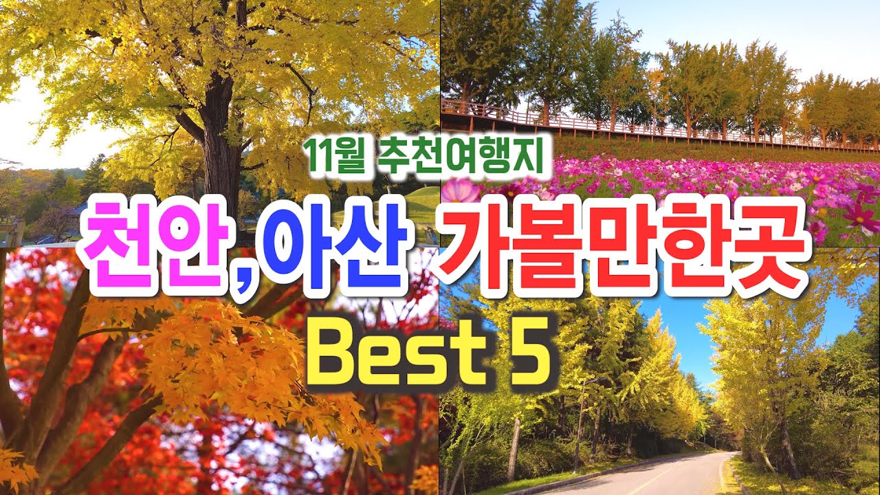 천안, 아산 가을여행지 추천,  국내가을여행지, 현충사 은행나무, 독립기념관 단풍, 아산 은행나무길, 아산 가볼만한곳, 천안 가볼만한곳