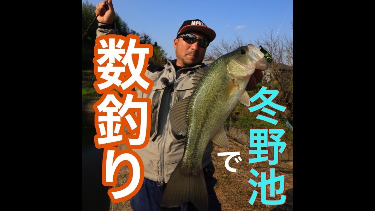 【秦拓馬】冬野池で数釣りin香川野池