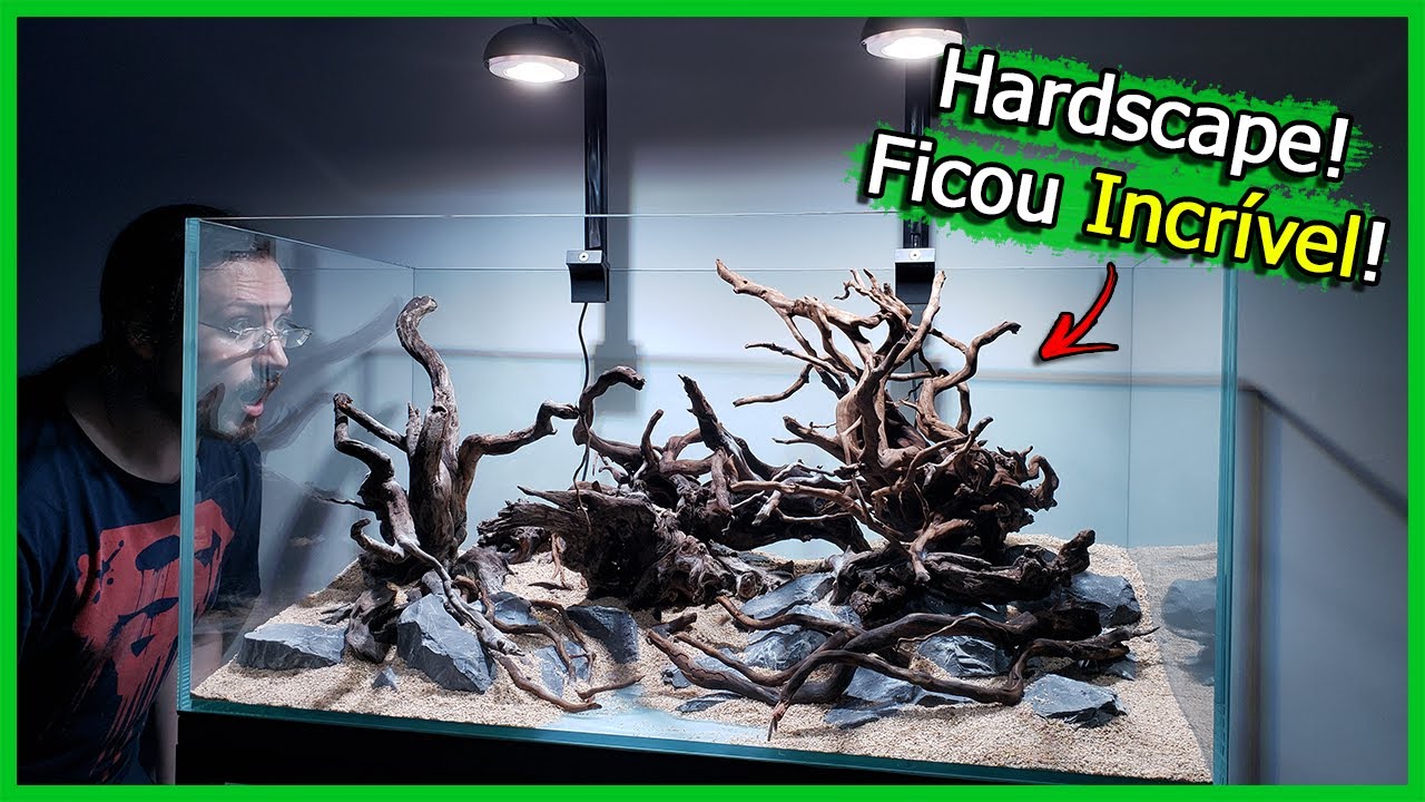 Montamos o Hardscape do Aquário PLANTADO! Ficou INCRÍVEL!