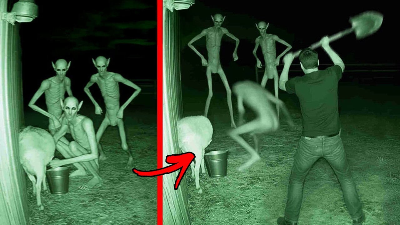 Top 10 Unexplained Creatures Caught Clearly on Camera