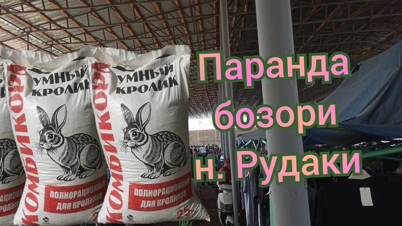 Паранда бозори н. Рудаки 03.08.2025 с...