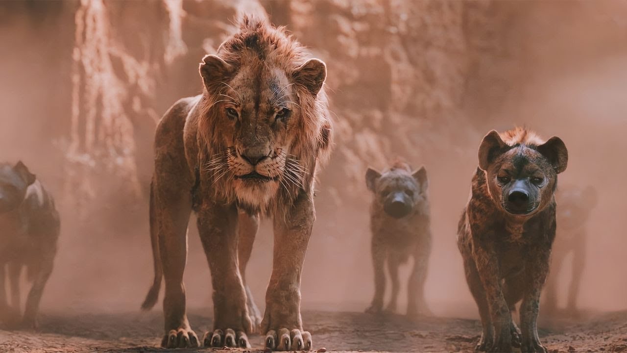 اسد يقتل اخوه حتى يصبح هو ملك الغابة ، فماذا يحدث بعد ذلك ؟ | ملخص فلم  the lion king