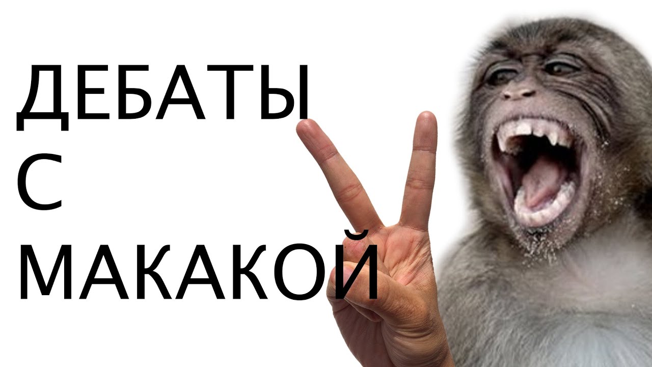ДЕБАТЫ С МАКАКАМИ #2