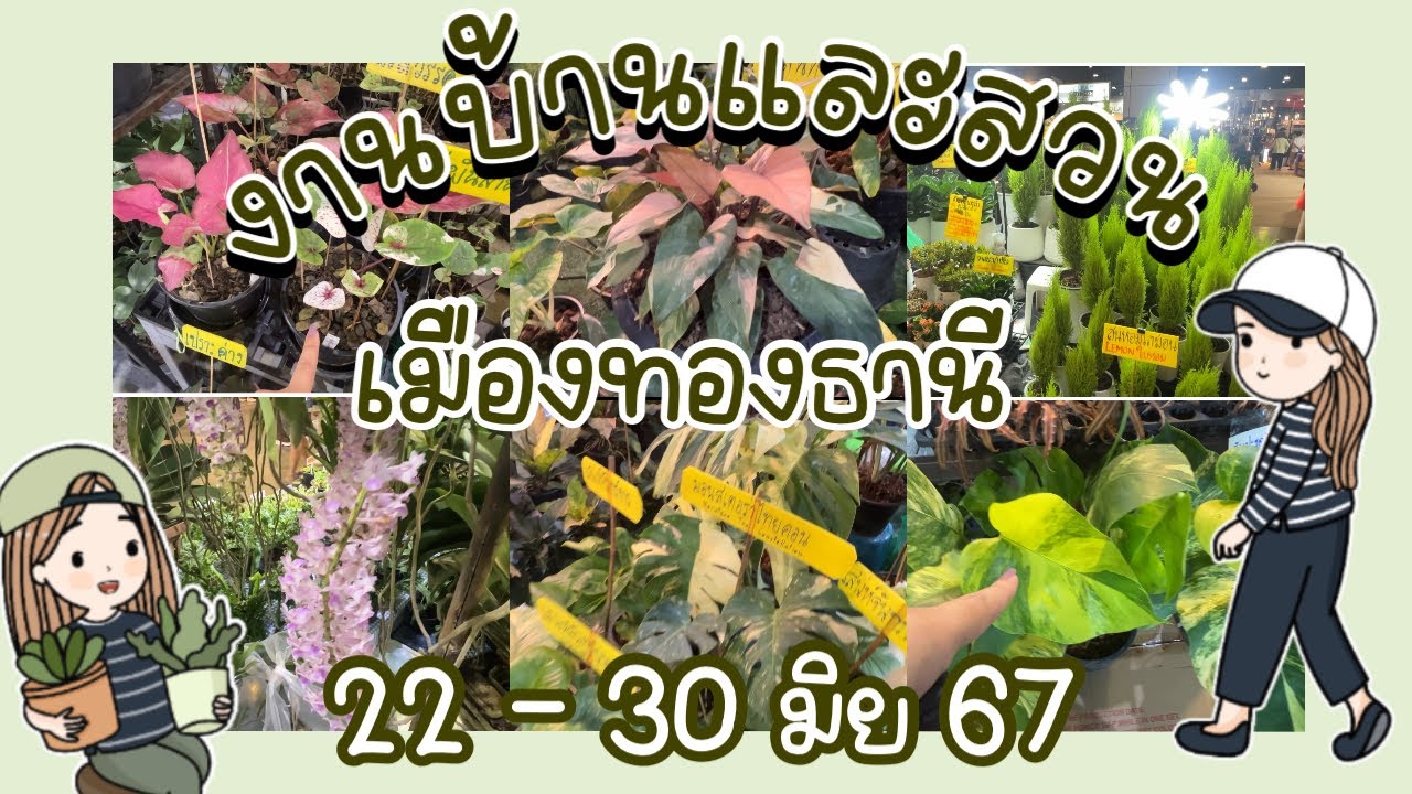 บ้านและสวนShoppingweek #บ้านและสวนแฟร์ อิมแพ็ค เมืองทองธานี  Hall 8 -10 22 - 30 มิ.ย. 67
