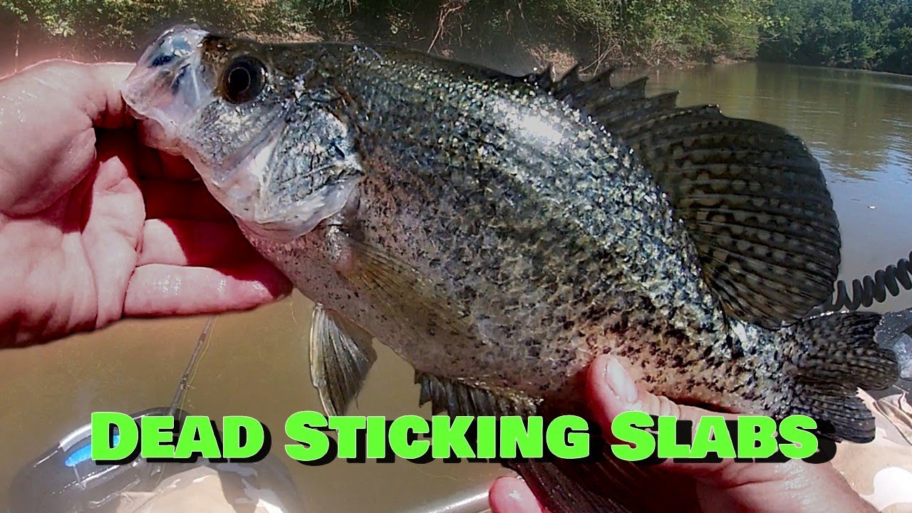 Catching Finicky Summer Crappie