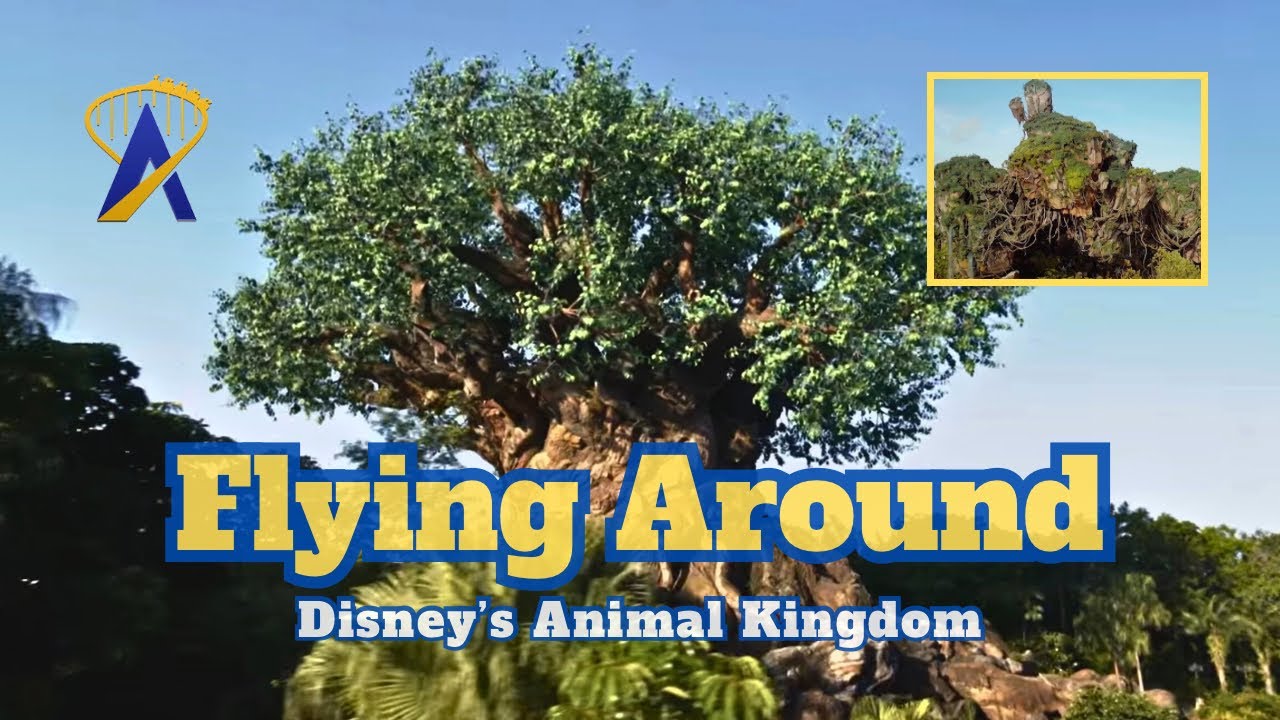Disney's Animal Kingdom - Views From The Sky