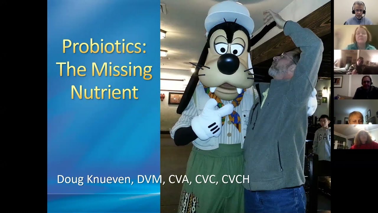 Benefits of Probiotics for Dogs | Dr. Doug Knueven | Holistic Actions!