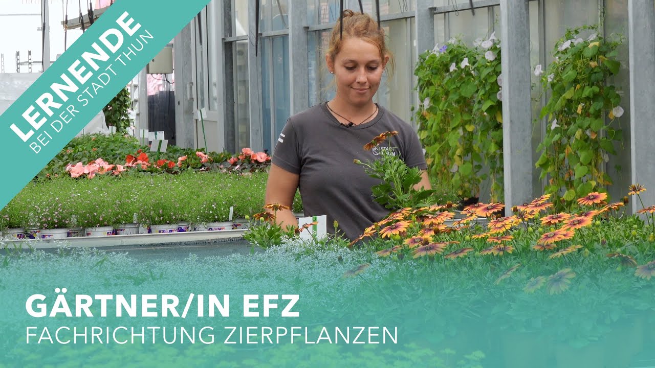 Lernende bei der Stadt Thun: G&auml;rtner/in EFZ Fachrichtung Zierpflanzen