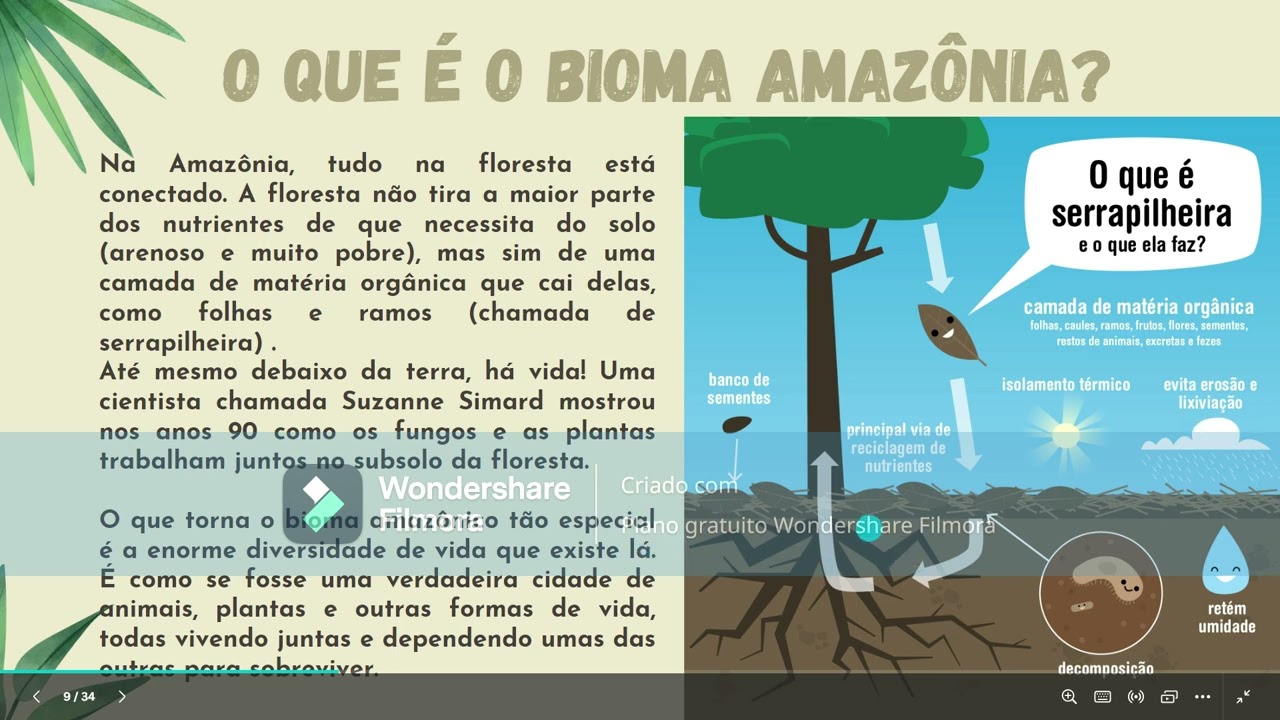 O Bioma da Amazonia - Video aula