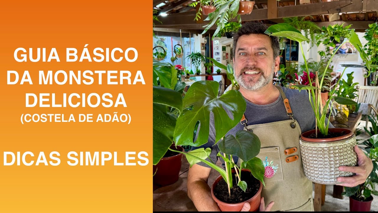 COMO CUIDAR DA COSTELA DE ADÃO: Dicas Simples