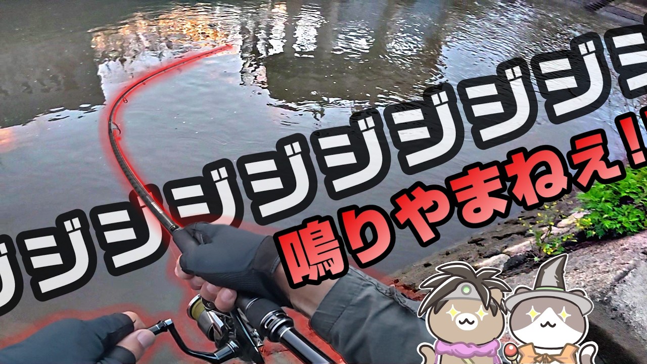 最釣ルアー選び！大物祭りでドラグ唸りまくり！【リバーシーバス】