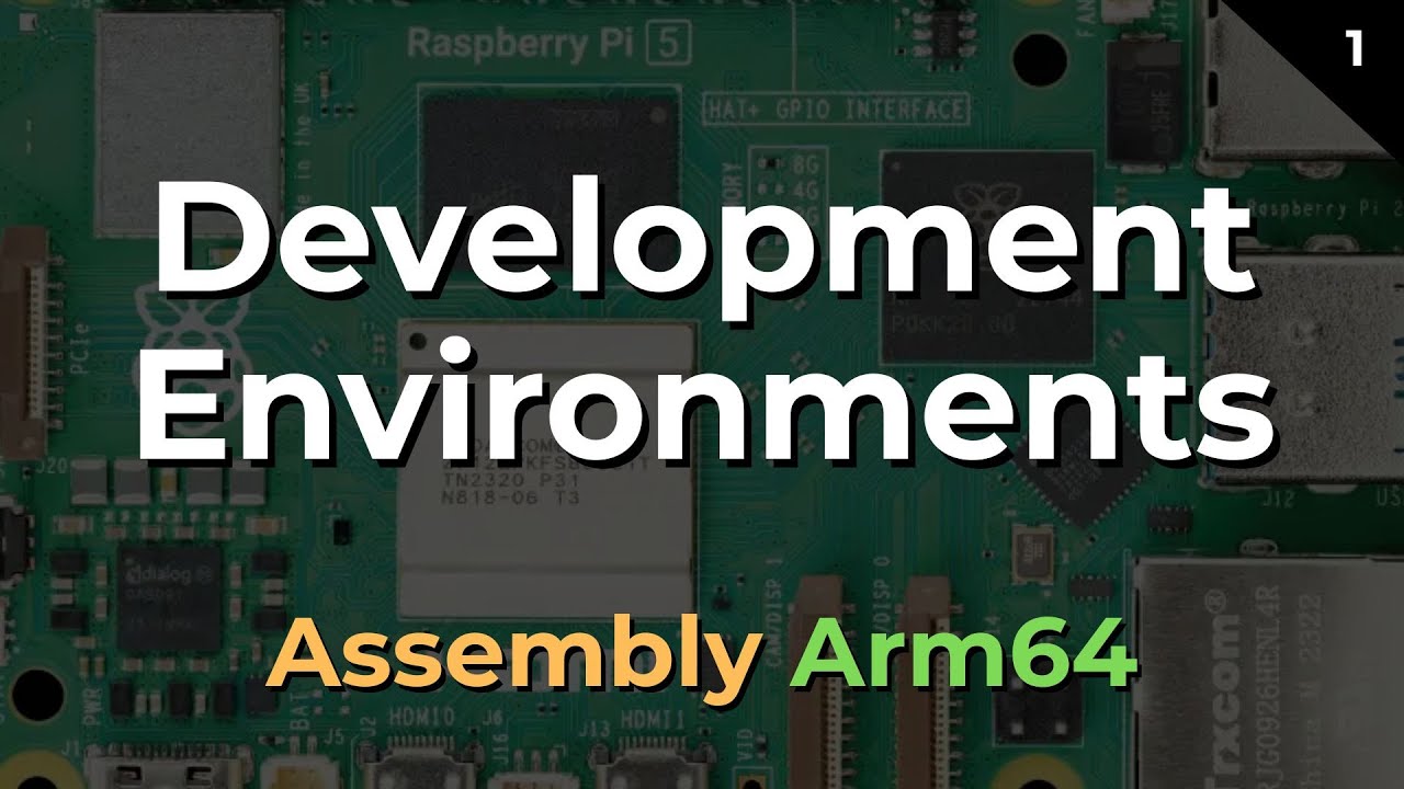 Five Arm64 Development Environments You Should Try for Assembly Programming #raspberrypi #assembly